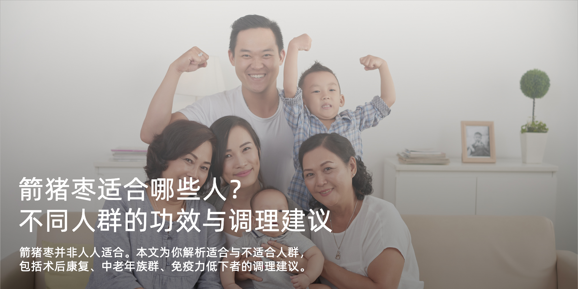 箭猪枣适合哪些人