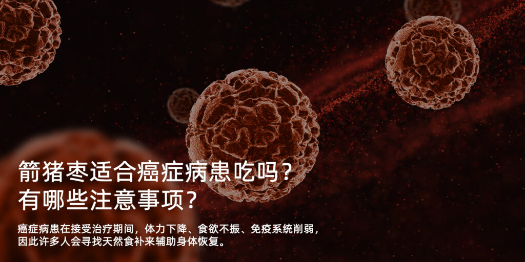 箭猪枣适合癌症病患吃吗？有哪些注意事项？