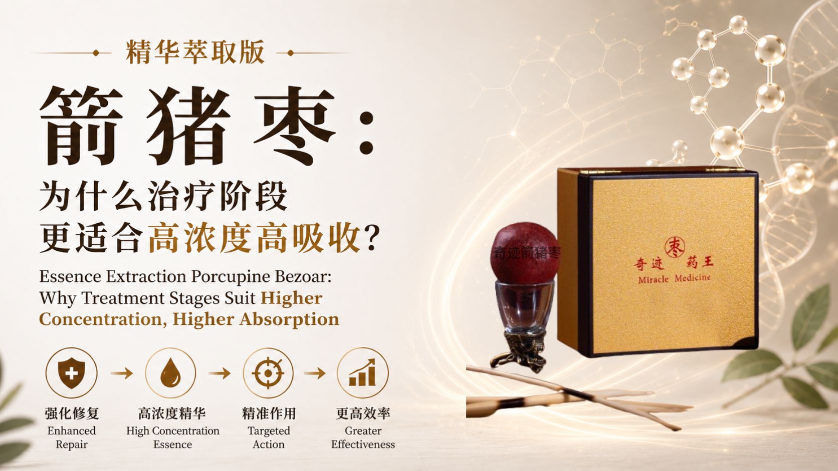 porcupine-bezoar-essence-extraction-300-percent-concentration-miracle-porcupine.jpg